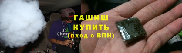 гидра Мегион
